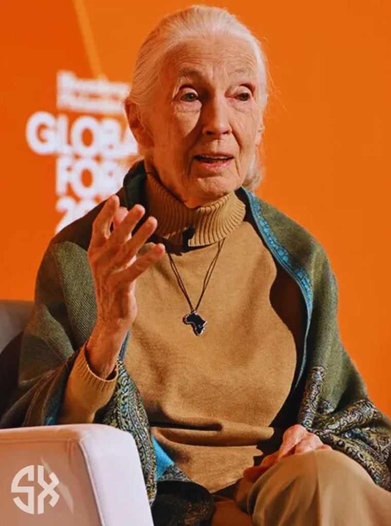 Jane Goodall working with chimpanzees highlighting her legacy after her death in 2025