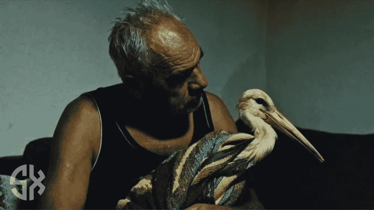 The Tale of Silyan documentary showing a white stork with a Macedonian farmer, winner of Venice award and National Geographic Oscar run