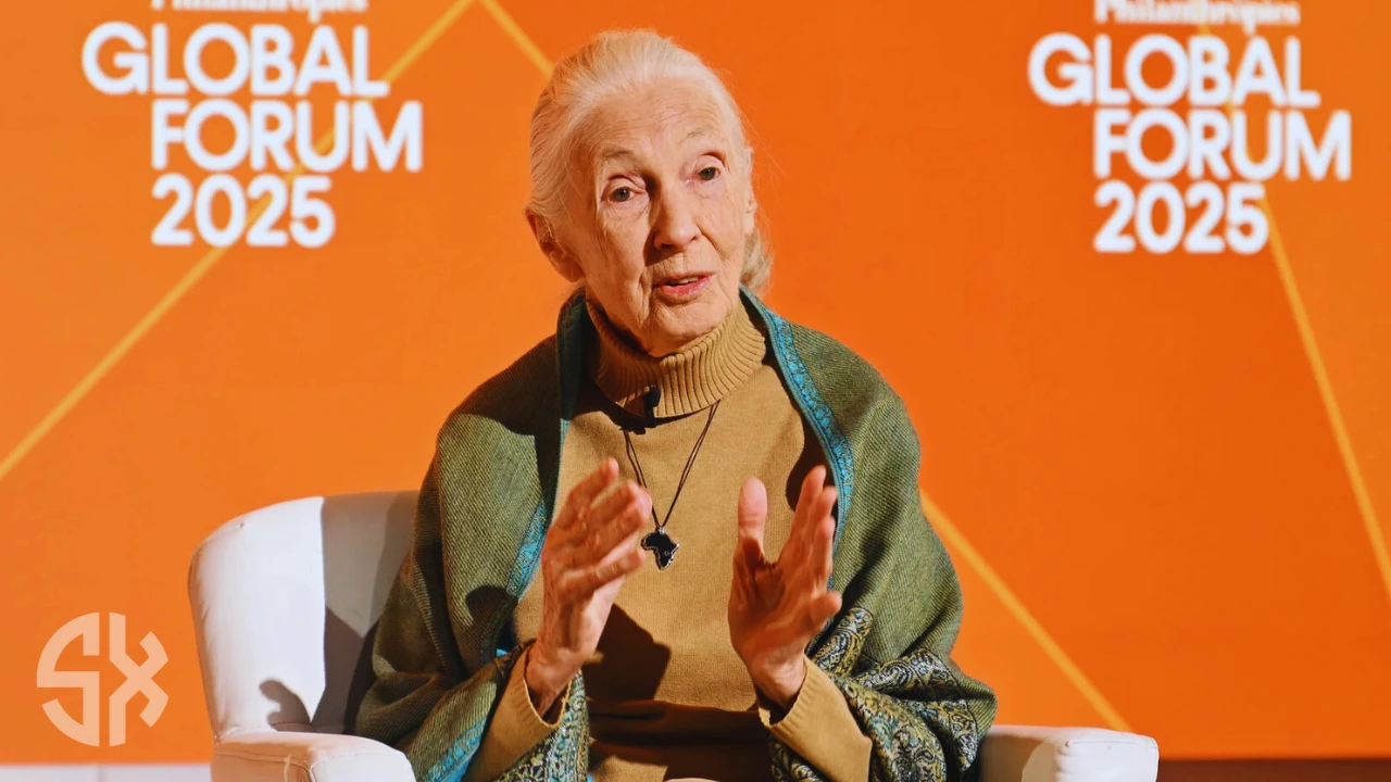 Jane Goodall smiling in her later years remembered after her death in 2025